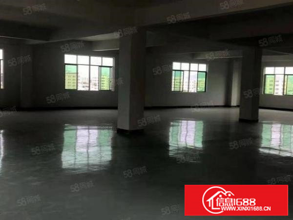 塘厦新出独院1196平米厂房出租，形象好!可整租可分租！