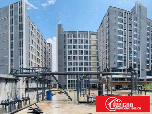 大朗镇新马连氧化盘对外房租