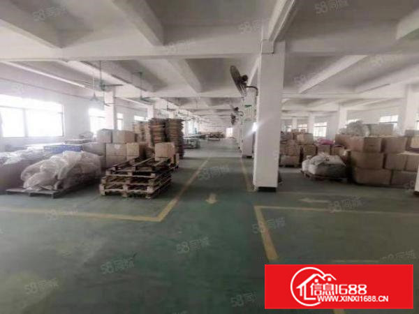 石排原房东标准厂房5800方出租，适合各行业，精装办公室！