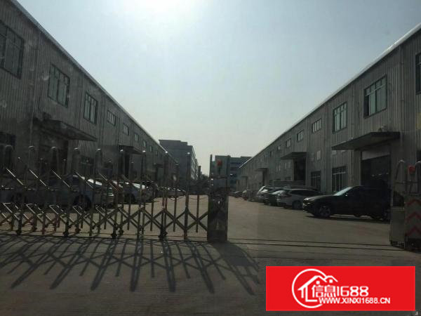 全新空置钢结构9000独院单一层出租