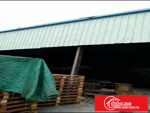 大岭山铁皮房，广阔空地，整体出租