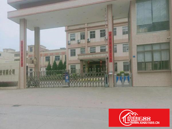 大朗镇原房东直租红本独院24000平，形象好，空地大