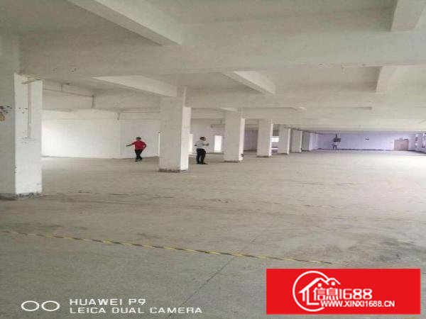 13元抢租楼上1200平可分租