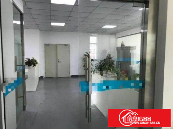 龙华大浪新出180平米220平米260平米带装修出租