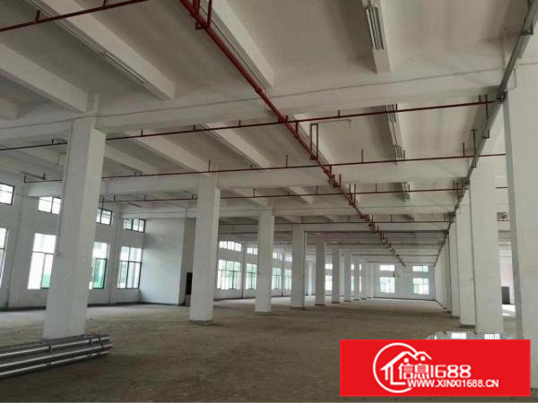 桥头镇大洲新空出带消防喷淋一楼带牛角5000平方