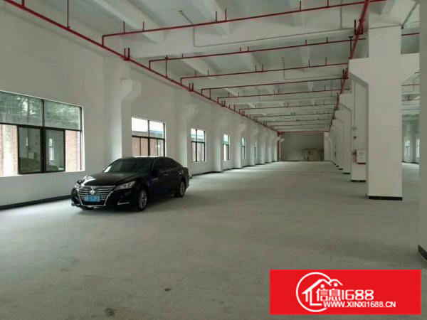 东坑路口新出独院一楼1600平可分租空地大16块