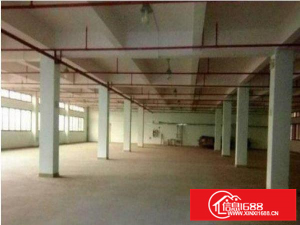 横岗189工业园新出原房东独院7800平厂房