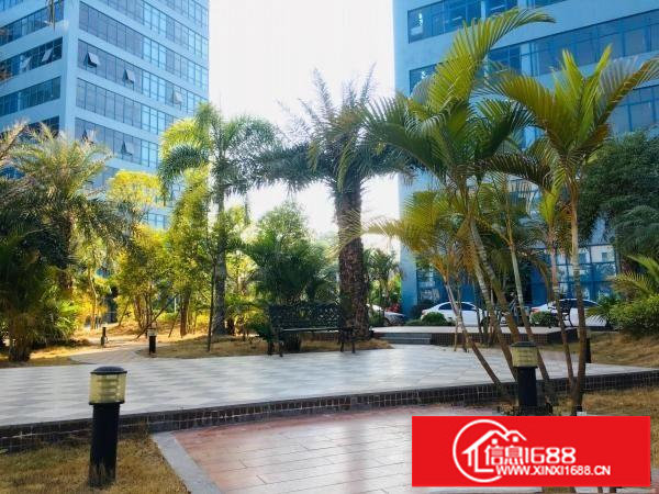 龙岗地铁口红本创新产业园业主直租