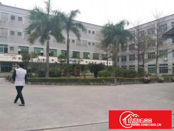 龙岗坪地1000平原房东厂房出租，带装修