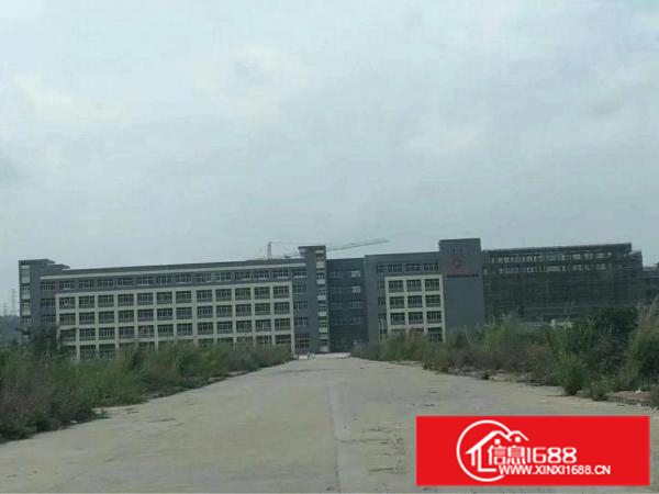 陈江13000平全新厂房独院，带国有红本