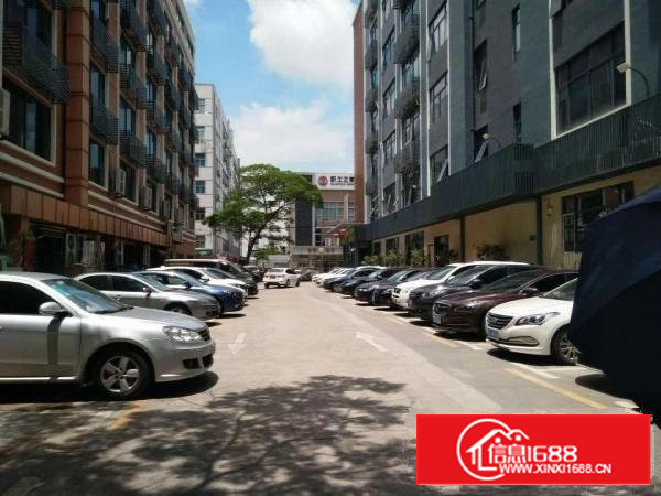 原房东直租兴东地铁850平起租带装修使用率超高