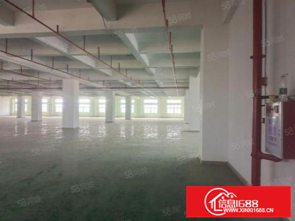 虎门新出楼上现成装修3850平米现成地坪漆，可分租可环