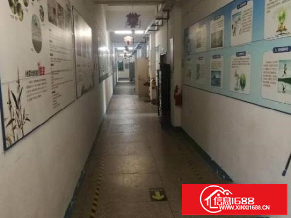 出租龙岗区横岗1600平标准厂房