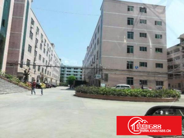 坪山石井工业园新出一楼注塑厂房350平招租