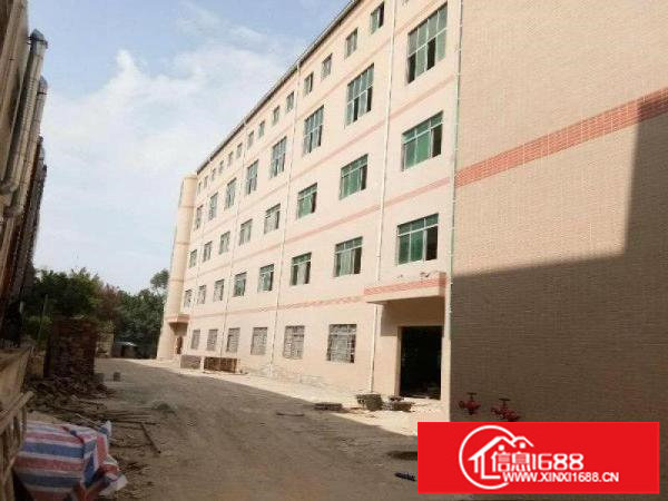 横岗六约稀缺小独院原房东带精装修出租大小可分租