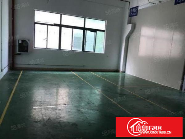 原房东600平，红本面积出租，采光通透，价格美丽