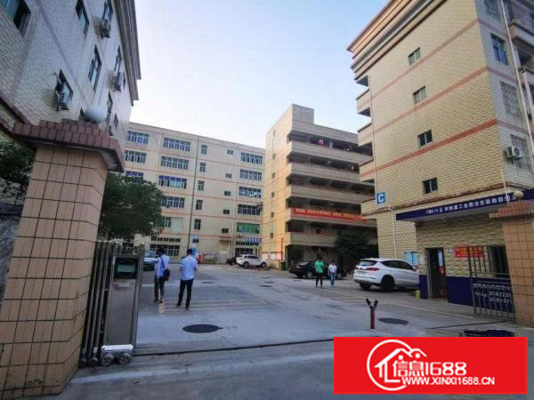 观澜茜坑五百平带红本独门独院厂房出租一百分租整租