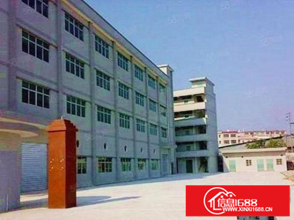 好招工，容桂标准厂房首层500方出租外观新颖价格优美