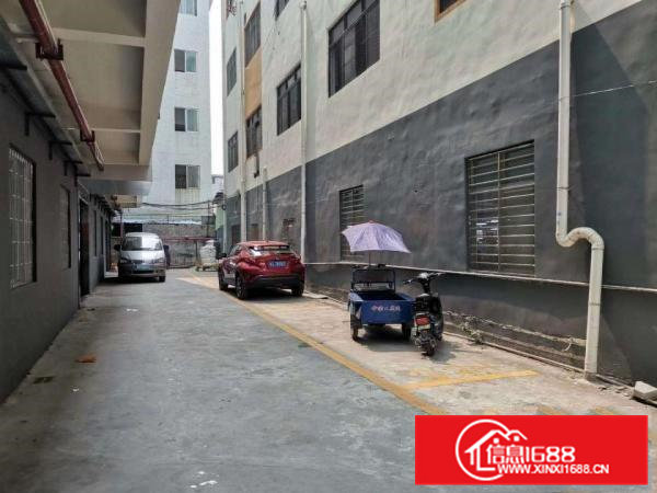 虎门龙眼标准厂房5楼400平出租精装修水电齐全