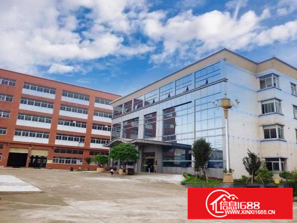 伦教业区标准厂房5200方、可分租、电大市政排污