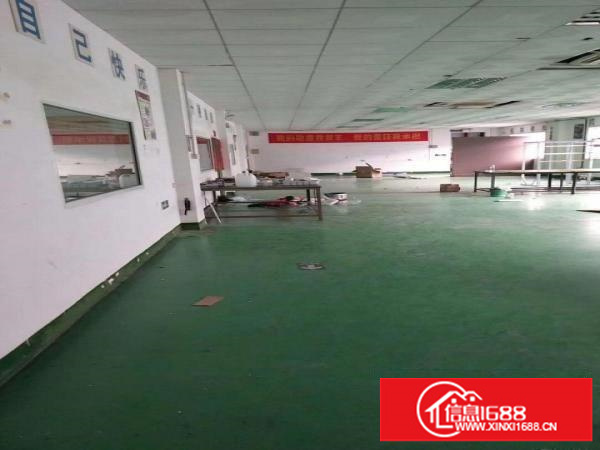 龙岗区新鲜出炉独院三楼现成800平精装修厂房
