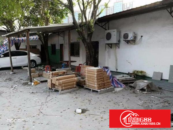 ！！清溪临路边1000平方米单一层独院厂房招租（塑胶，设备）