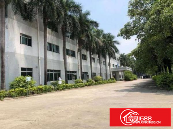 办公室带仓库，地板漆完好，采光性好。