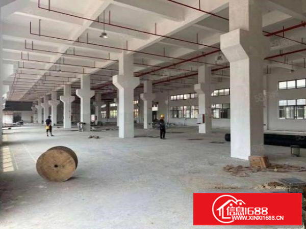 东莞桥头原房东标准三楼整层现成消防喷淋水电齐全高度5米厂房