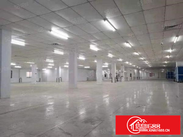 常平新出花园式独院标准厂房带现成万级无尘车间火爆招租