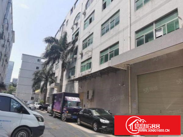 坂田岗头市场550平米小面积带装修厂房仓库招租