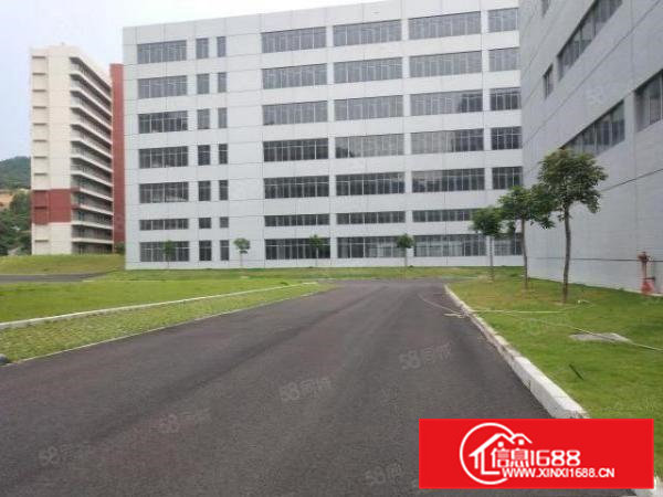 清溪镇罗马全新园区9万平招租,临近马路,交通便利,易招工!!