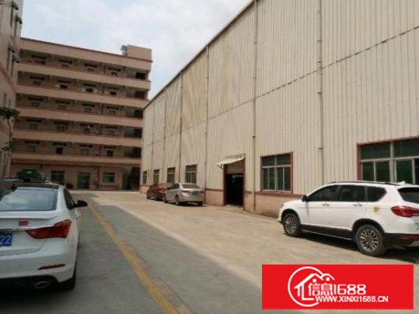 观澜观光路旁一楼钢构厂房2200平出租