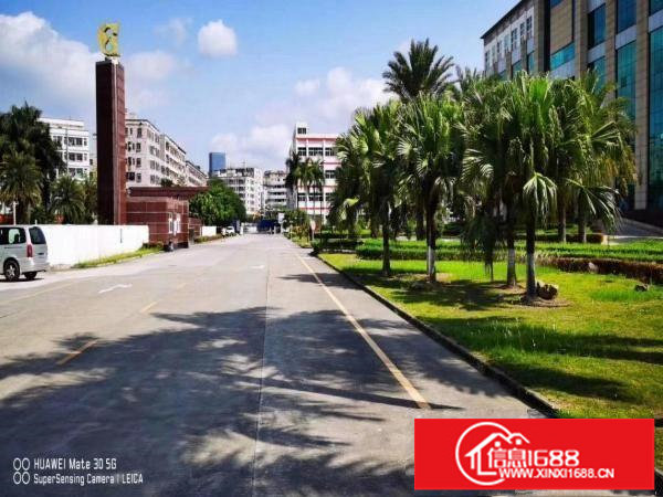 龙岗宝龙原房东14万平大型工业园厂房仓库出租精装修200起租