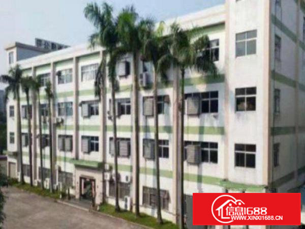 高埗标准厂房楼上新出二三楼面积2400平厂房出租