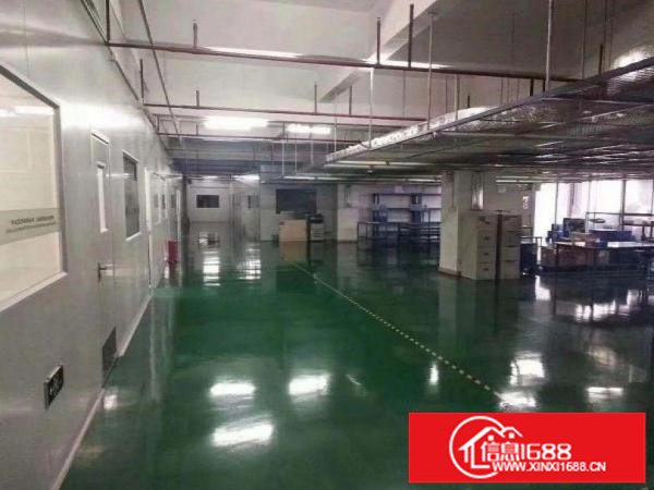 龙岗新出楼上2400平厂房可分租