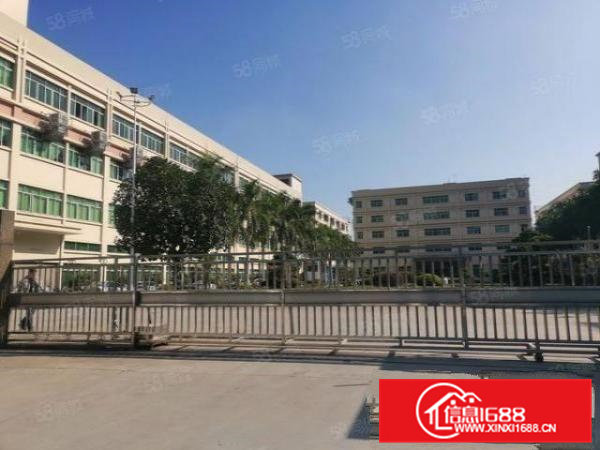 茶山镇前一秒新出43000平花园式独院带房产证国土证