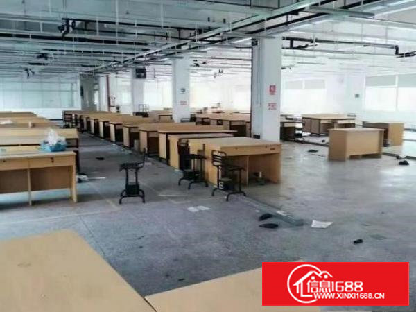 有独院一个出租，1500平方。实际面积