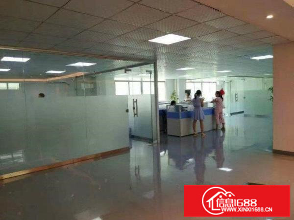 坪地坪西新出三楼带电梯500平起租（送装修招租）