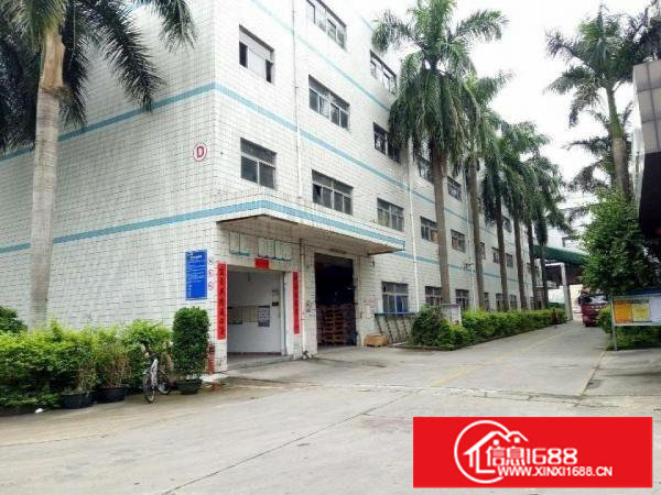 坪山区坑梓工业区新出一楼920平实际面积出租