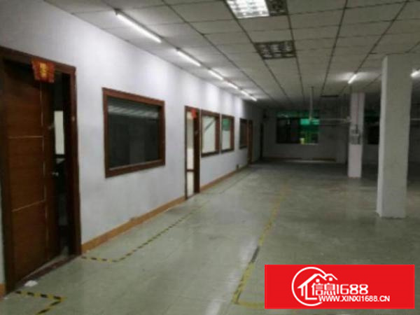 万江1独院标准860平米现成水电豪华办公