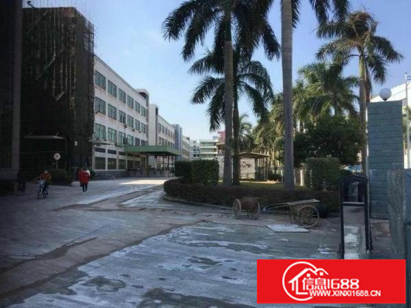 龙岗宝龙工业区原房东红本厂房出租