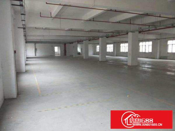 新圩4300平独栋厂房出租带消防喷淋，交通方便