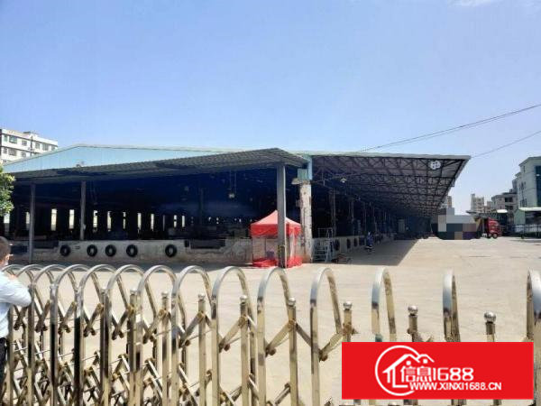 大岭山镇向东村107国道500米独门独院单一层13580平方