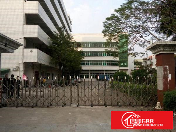 塘厦田心科苑新出标准一楼450平米带装修出租