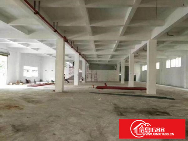 东莞企石镇全新五层6500平方厂房出租带电梯