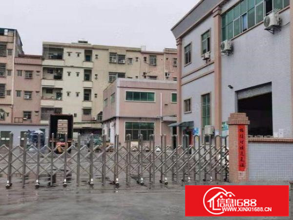 桥头镇原房东标准独院厂房6900平