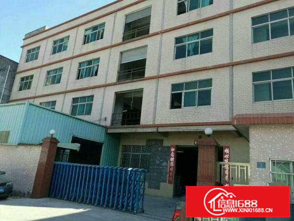 大岭山独院厂房四层3200平方带电梯急租，可分层租