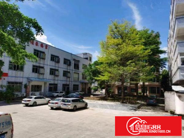 千年等一回！松岗大田洋！手快有手慢无！租到就赚到！