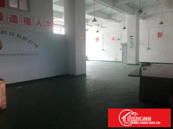 龙华大浪高新科技园新出一楼500平厂房，有阁楼，园区环境好，
