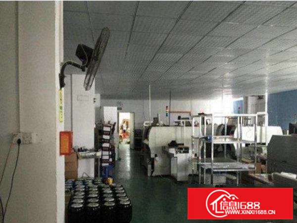 横沥隔坑新推出500平方米带空地一楼厂房招租